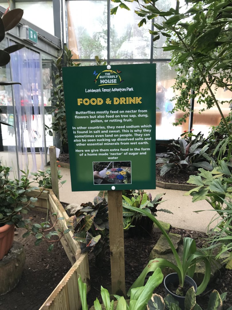 Butterfly signage @ Landmark forest adventure park