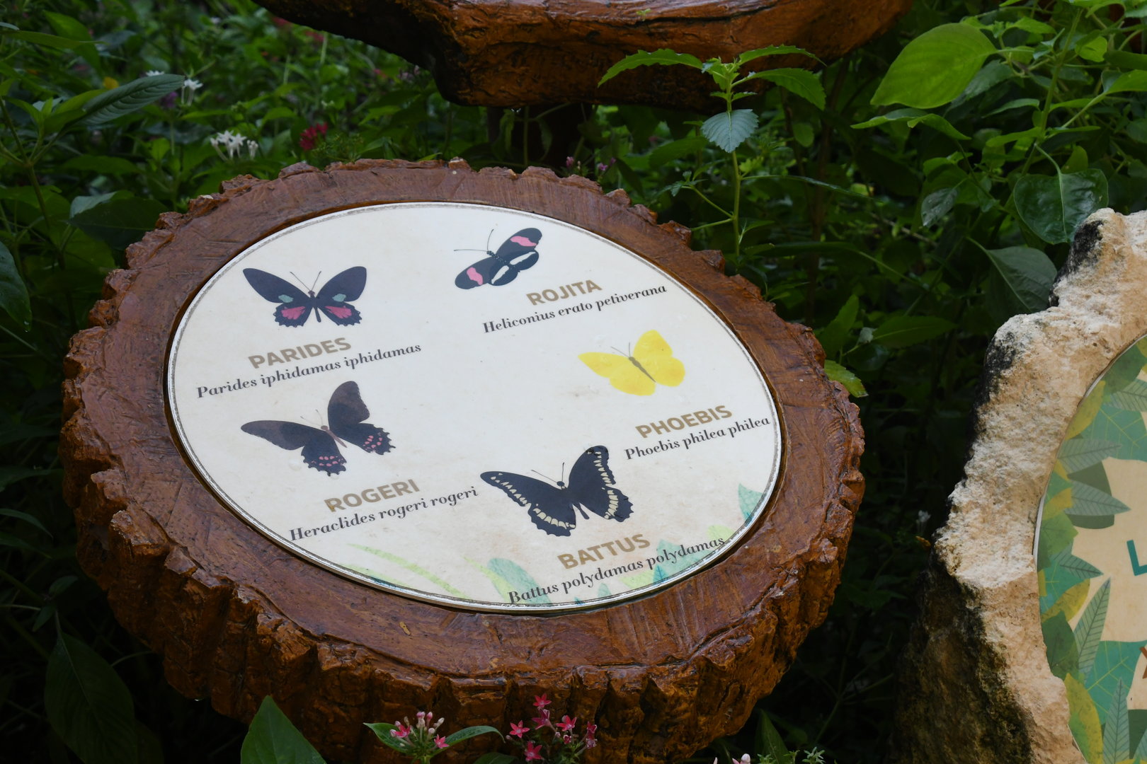 Butterfly Signage