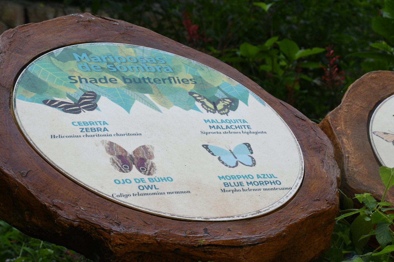Butterfly Signage