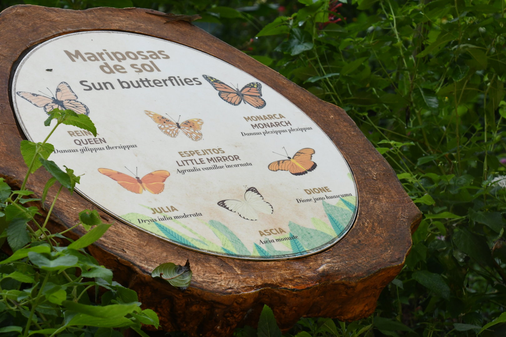 Butterfly Signage