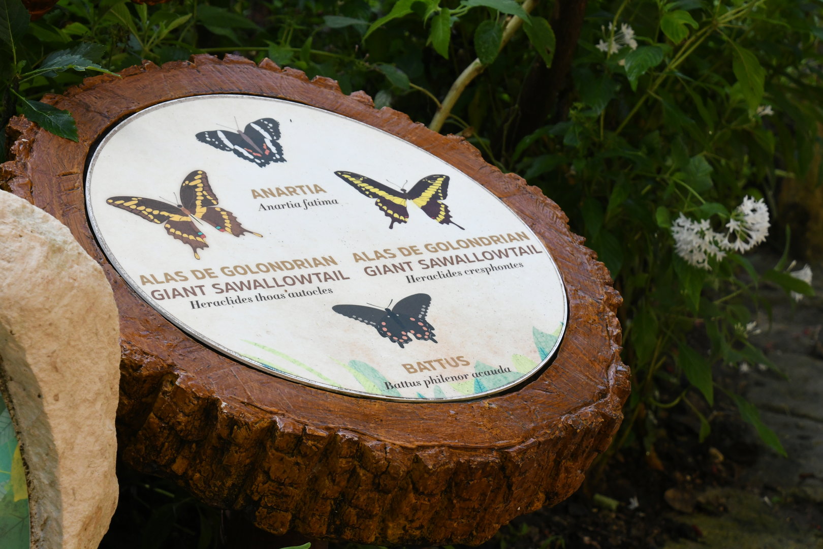 Butterfly Signage