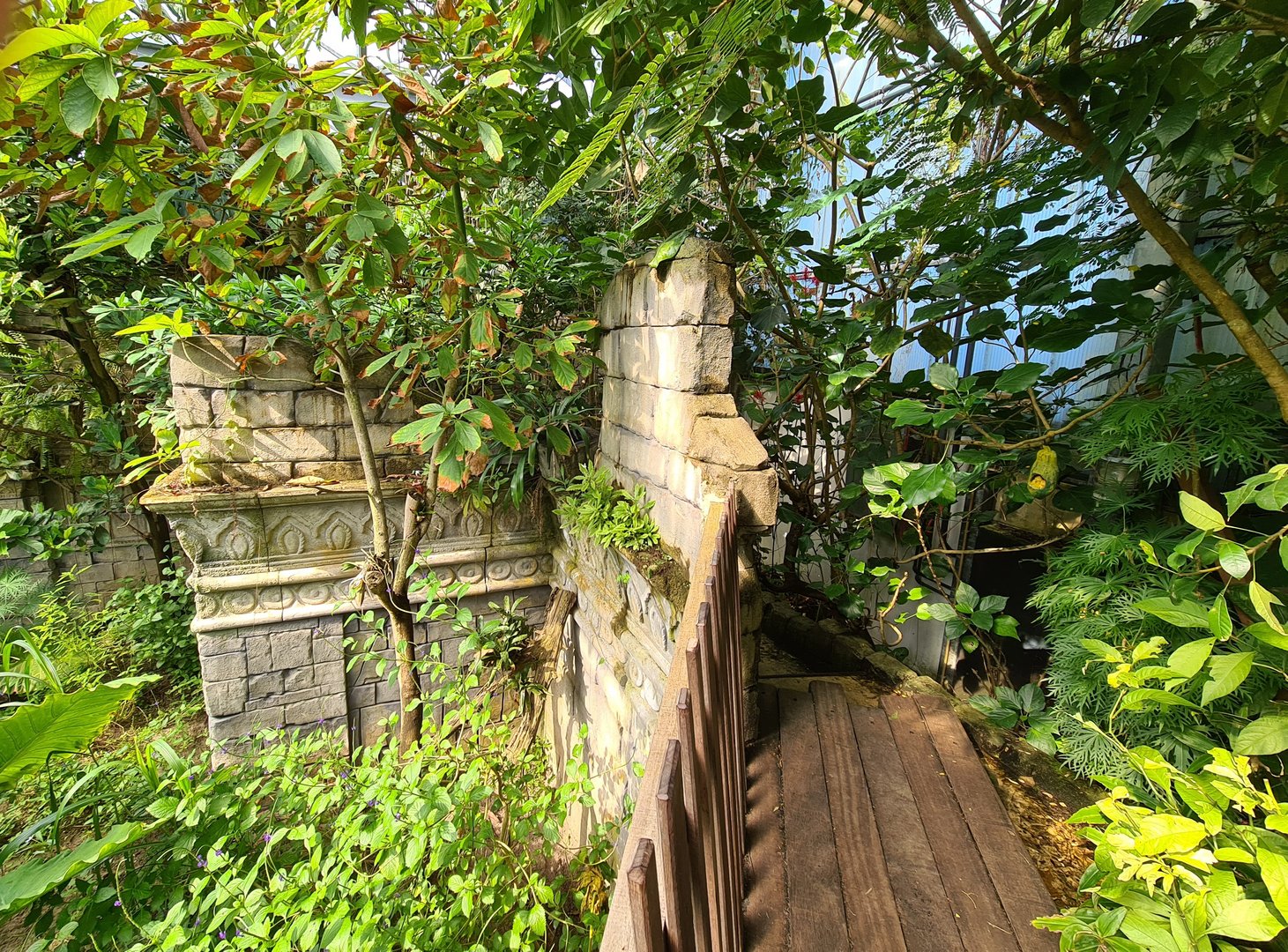Butterfly temple - Adventure path over Dwarf crocodile enclosure