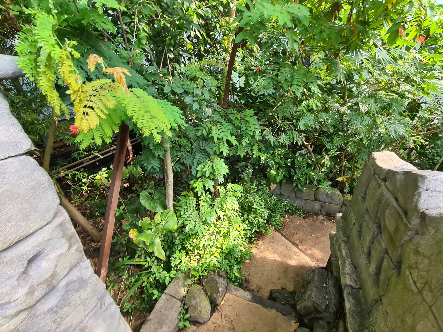 Butterfly temple - Adventure path