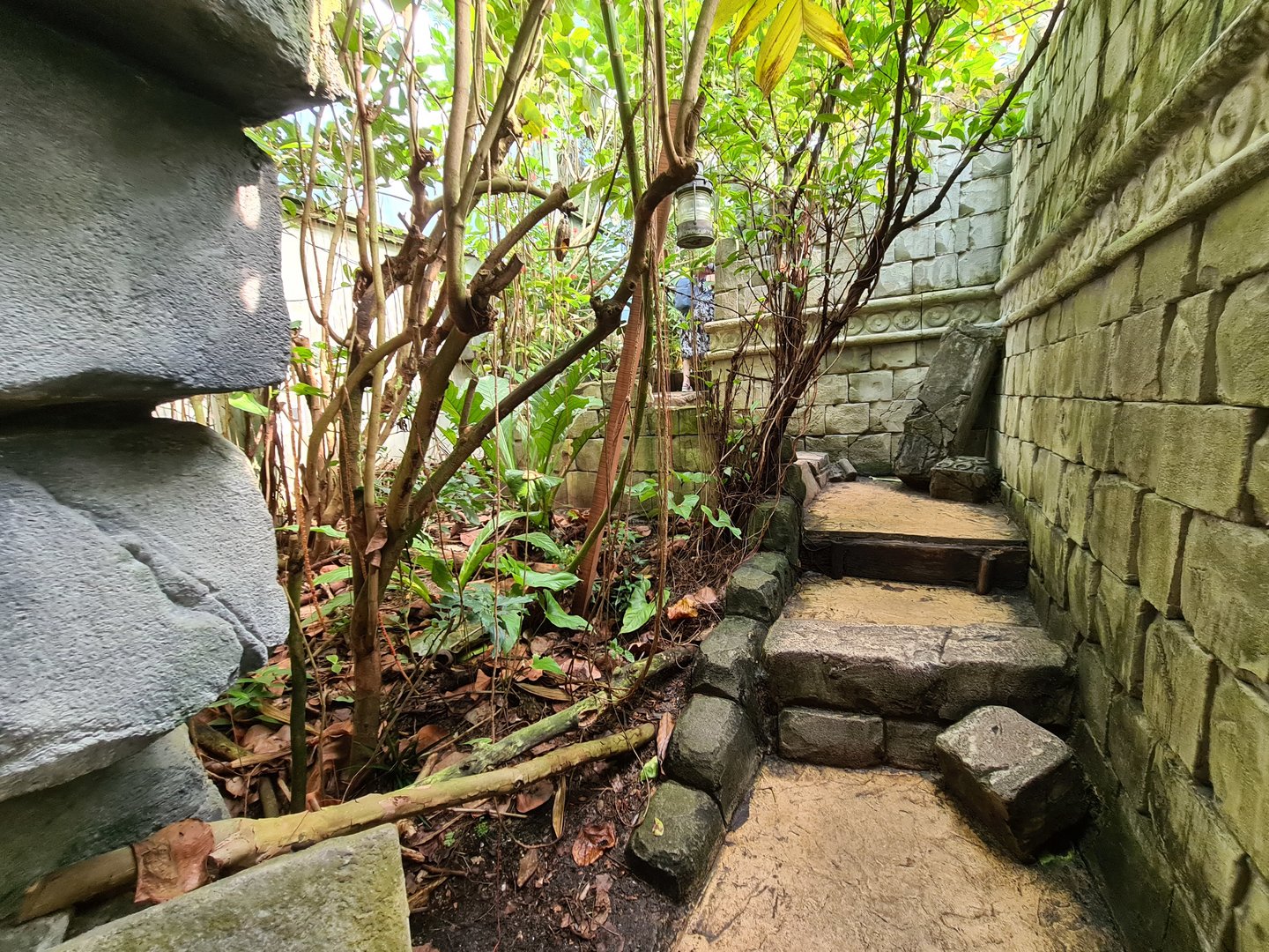 Butterfly temple - Adventure path