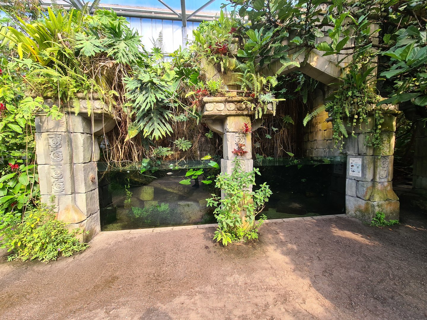 Butterfly temple - Central aquarium