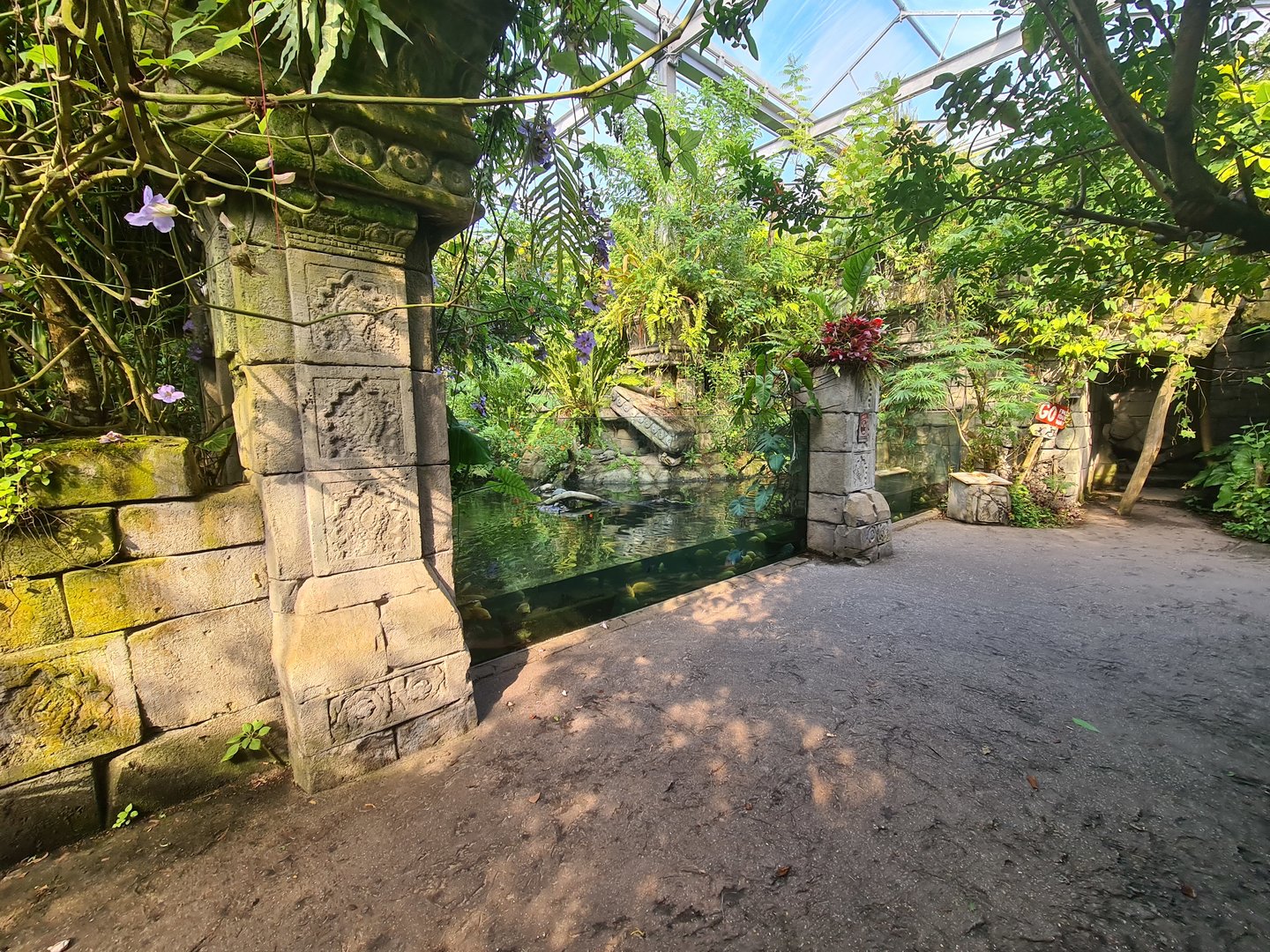 Butterfly temple - Dwarf crocodile enclosure