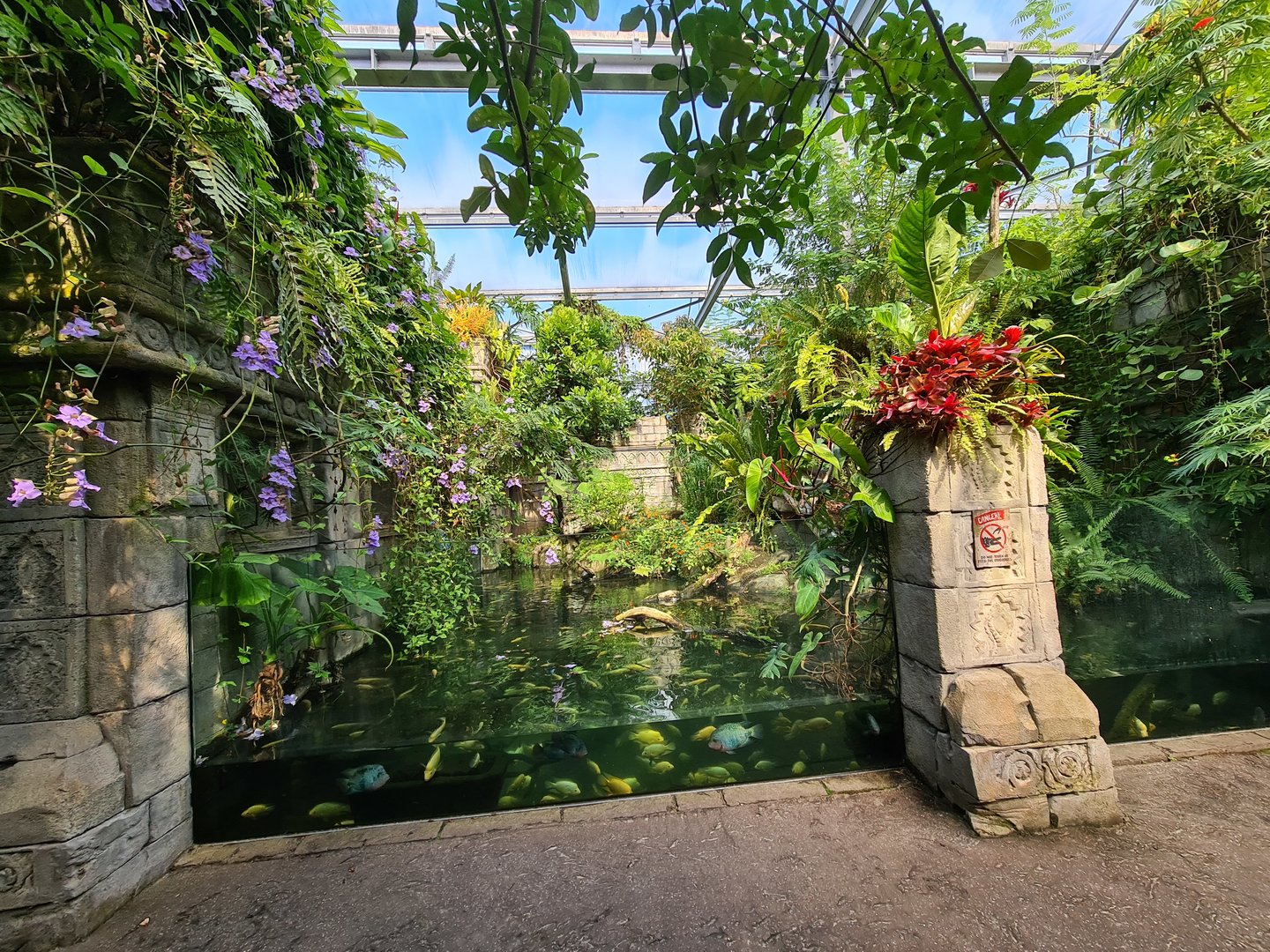 Butterfly temple - Dwarf crocodile enclosure