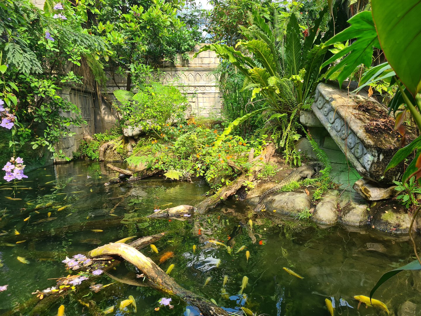 Butterfly temple - Dwarf crocodile enclosure