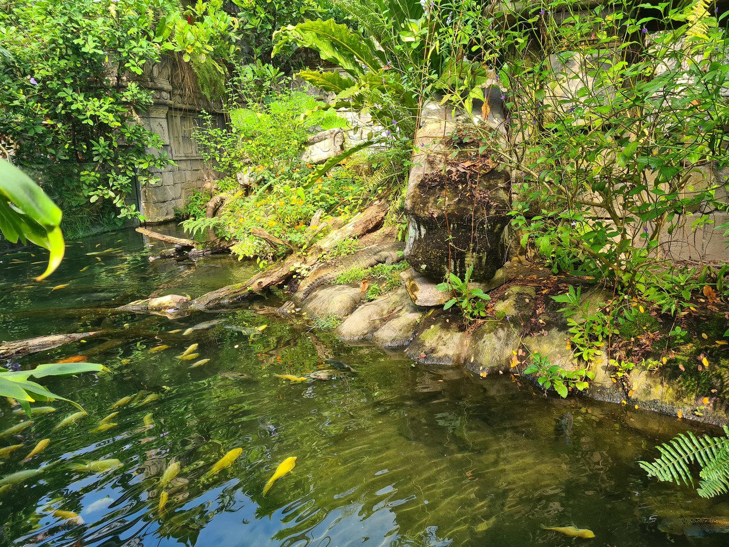 Butterfly temple - Dwarf crocodile enclosure