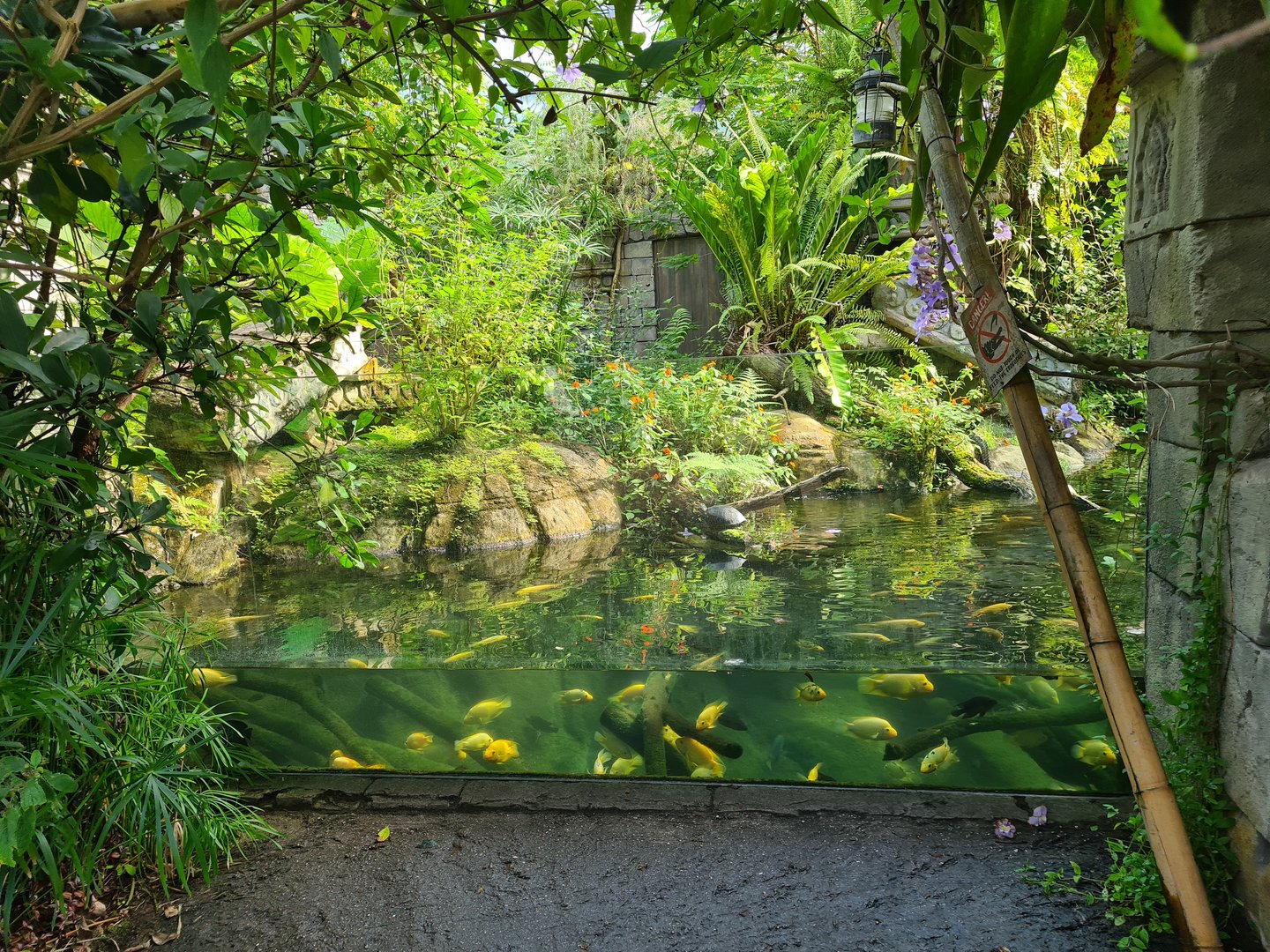 Butterfly temple - Dwarf crocodile enclosure