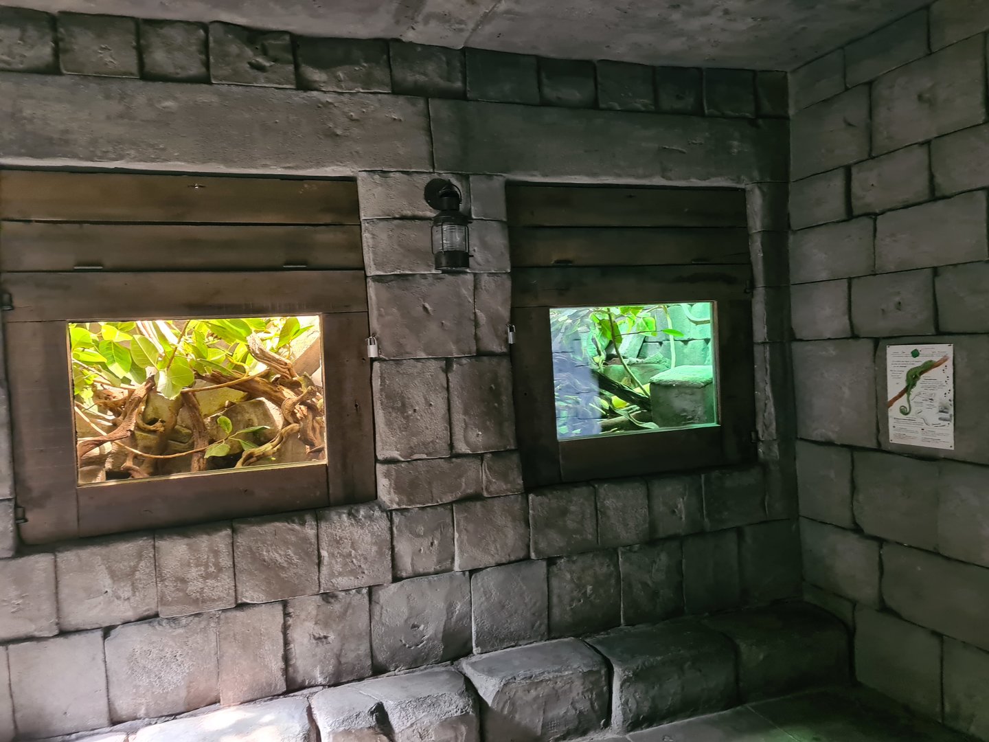 Butterfly temple - Emerald tree monitor terrariums