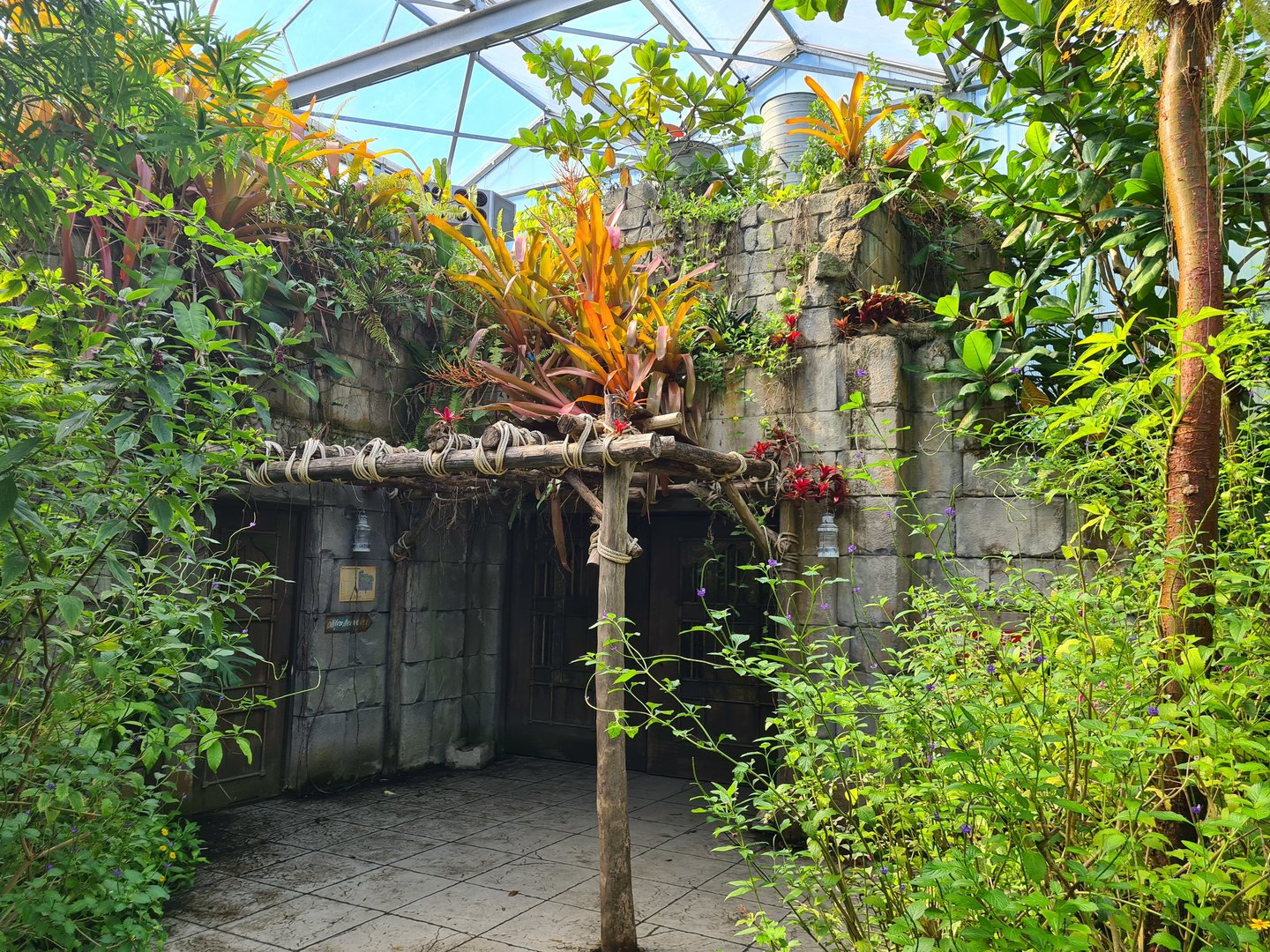 Butterfly temple - Exit