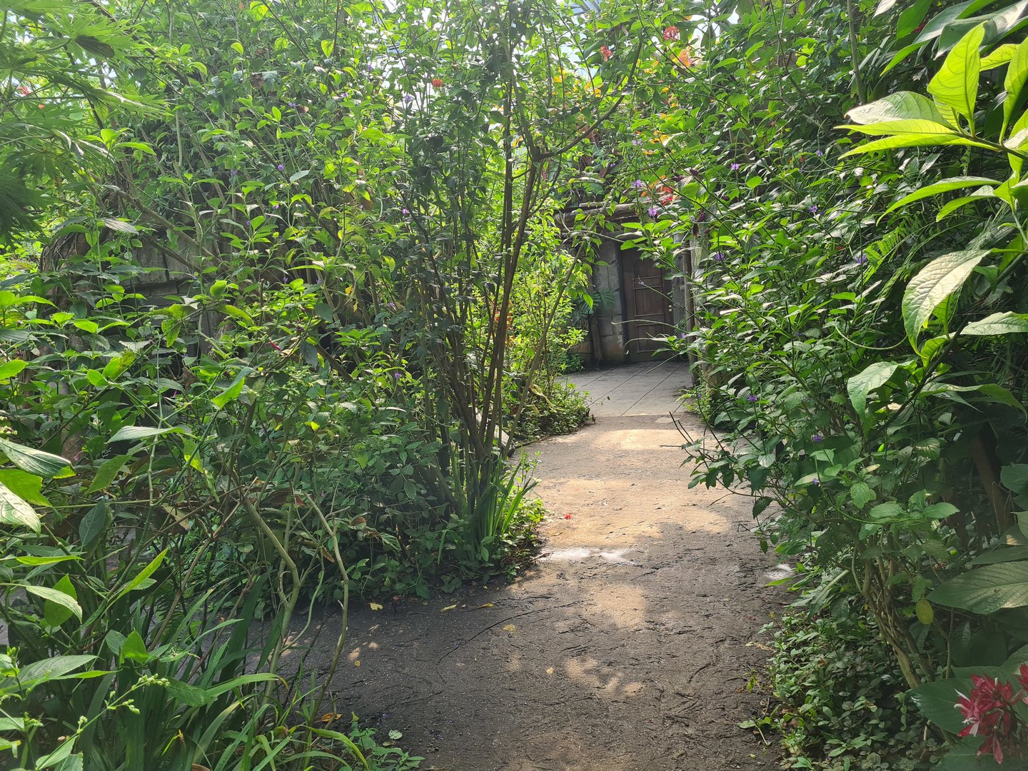 Butterfly temple - Interior