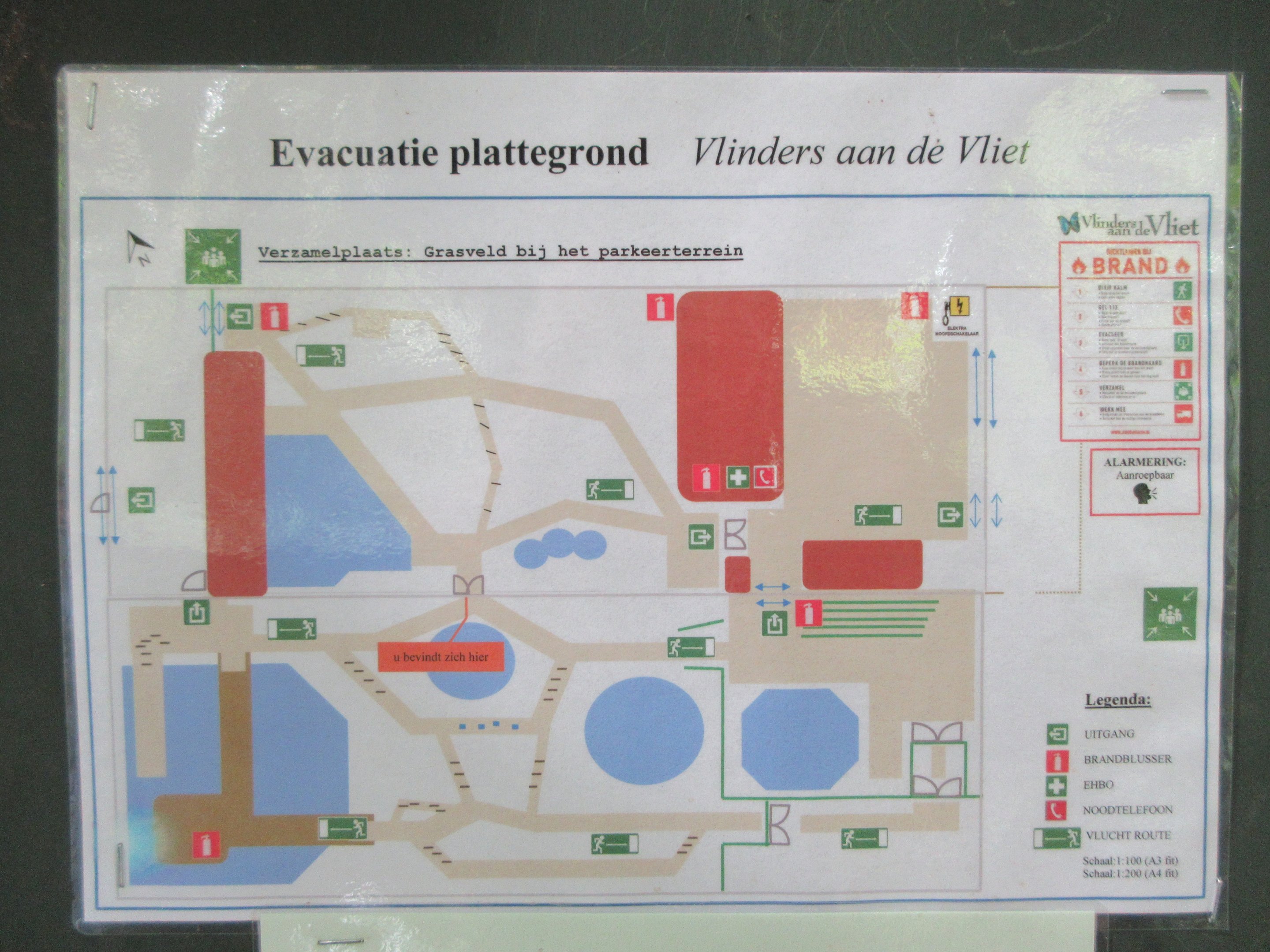 Butterfly Walk-Through Area - Map