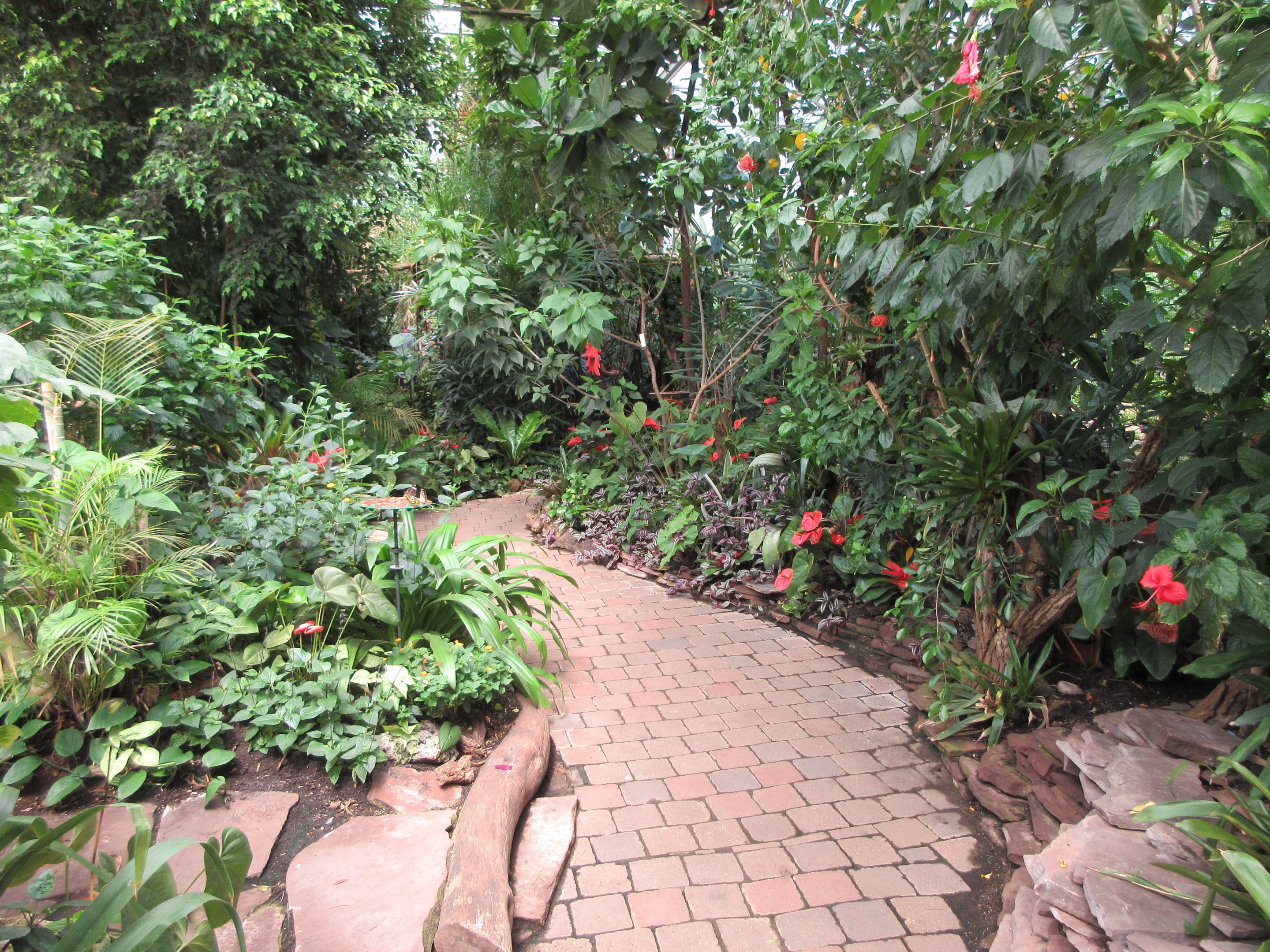 Butterfly Walk-Through Area