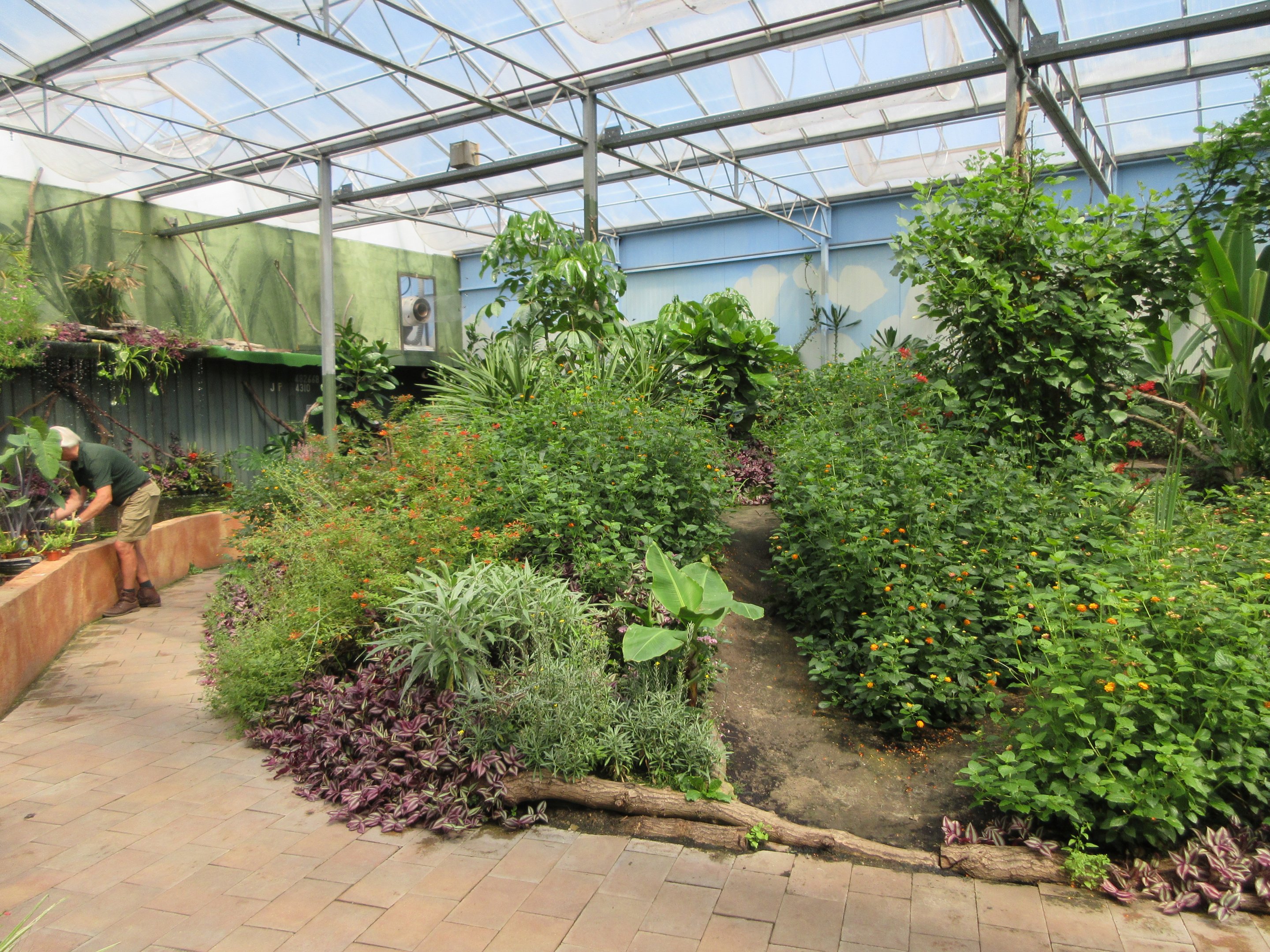 Butterfly Walk-Through Area