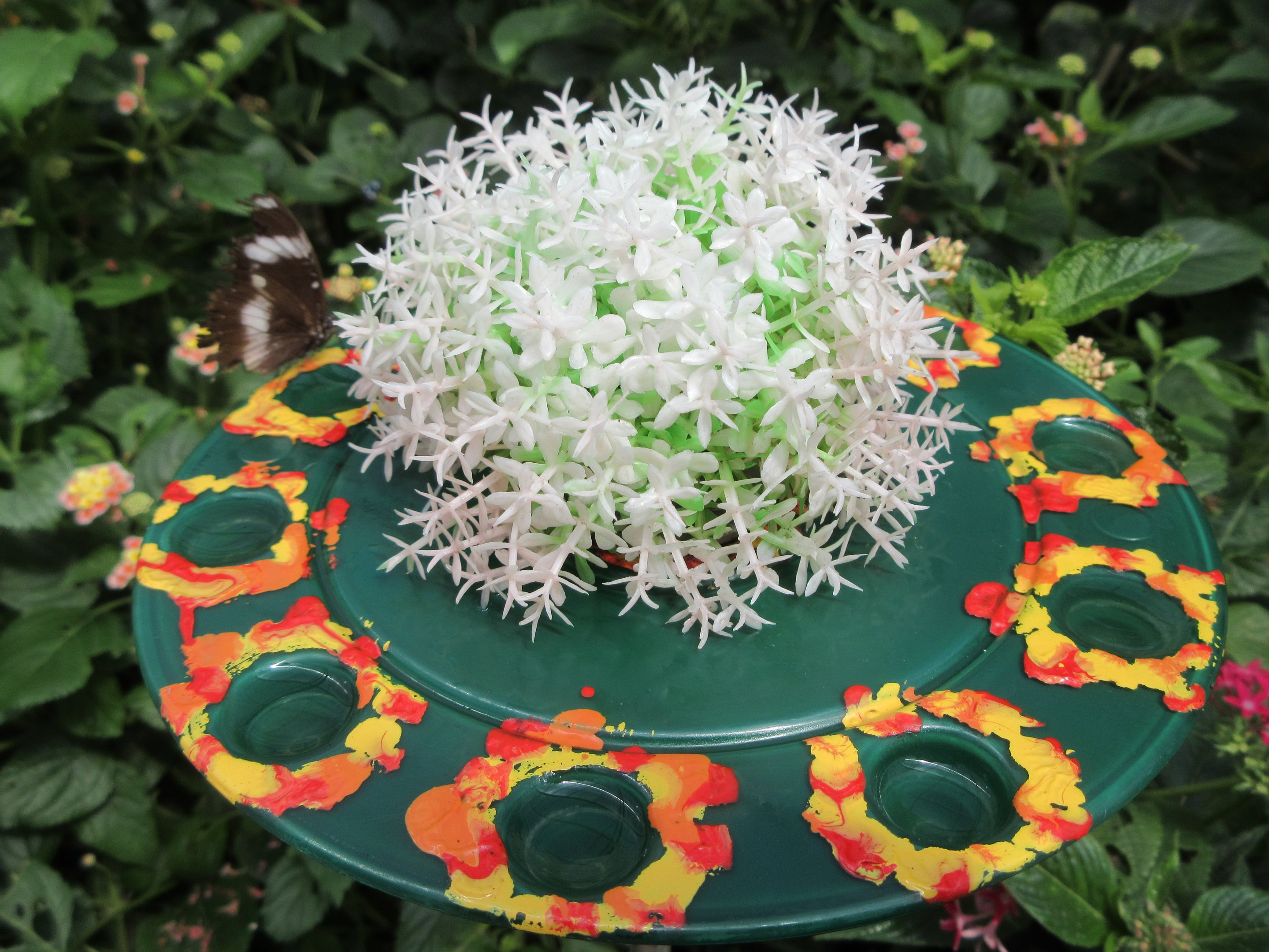 Butterfly Walk-Through Area