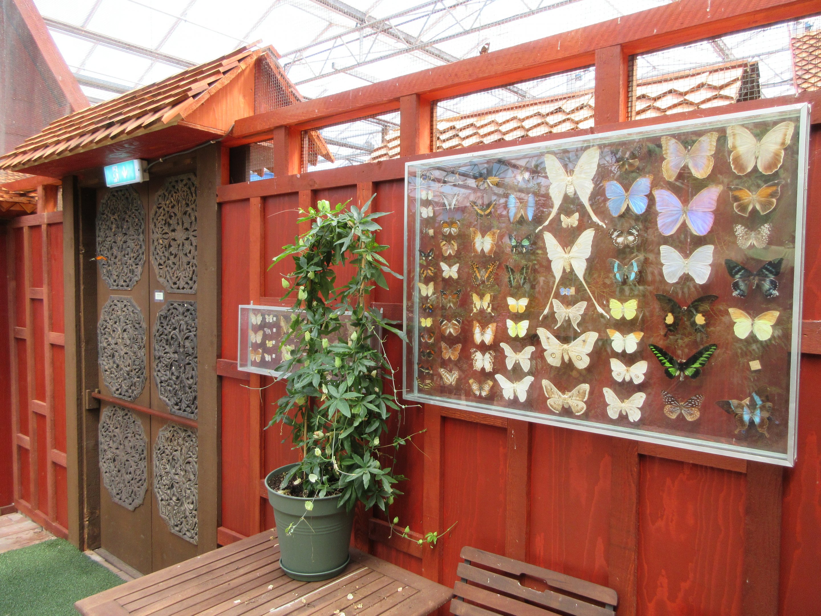 Butterfly Walk-Through Area