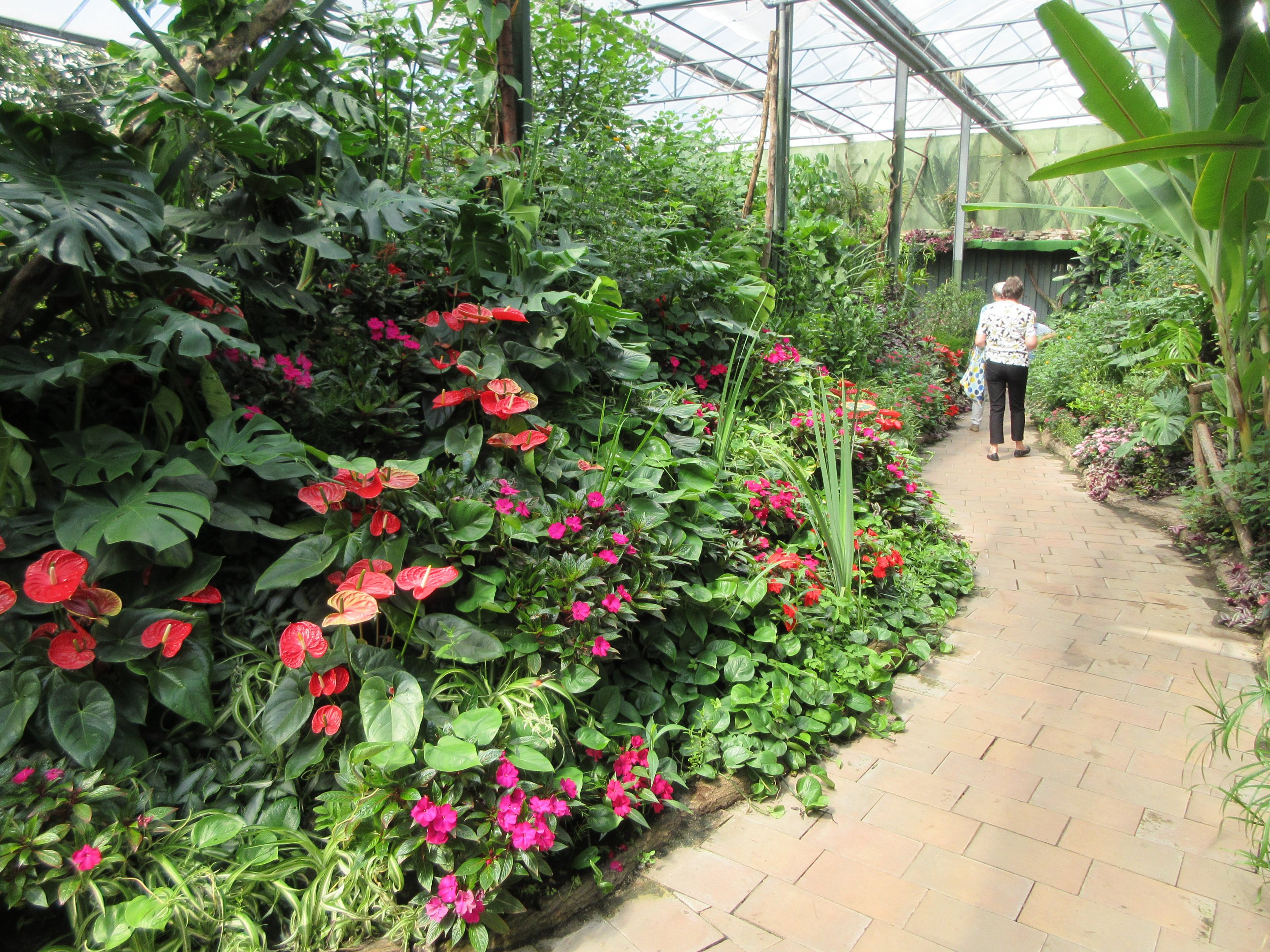 Butterfly Walk-Through Area