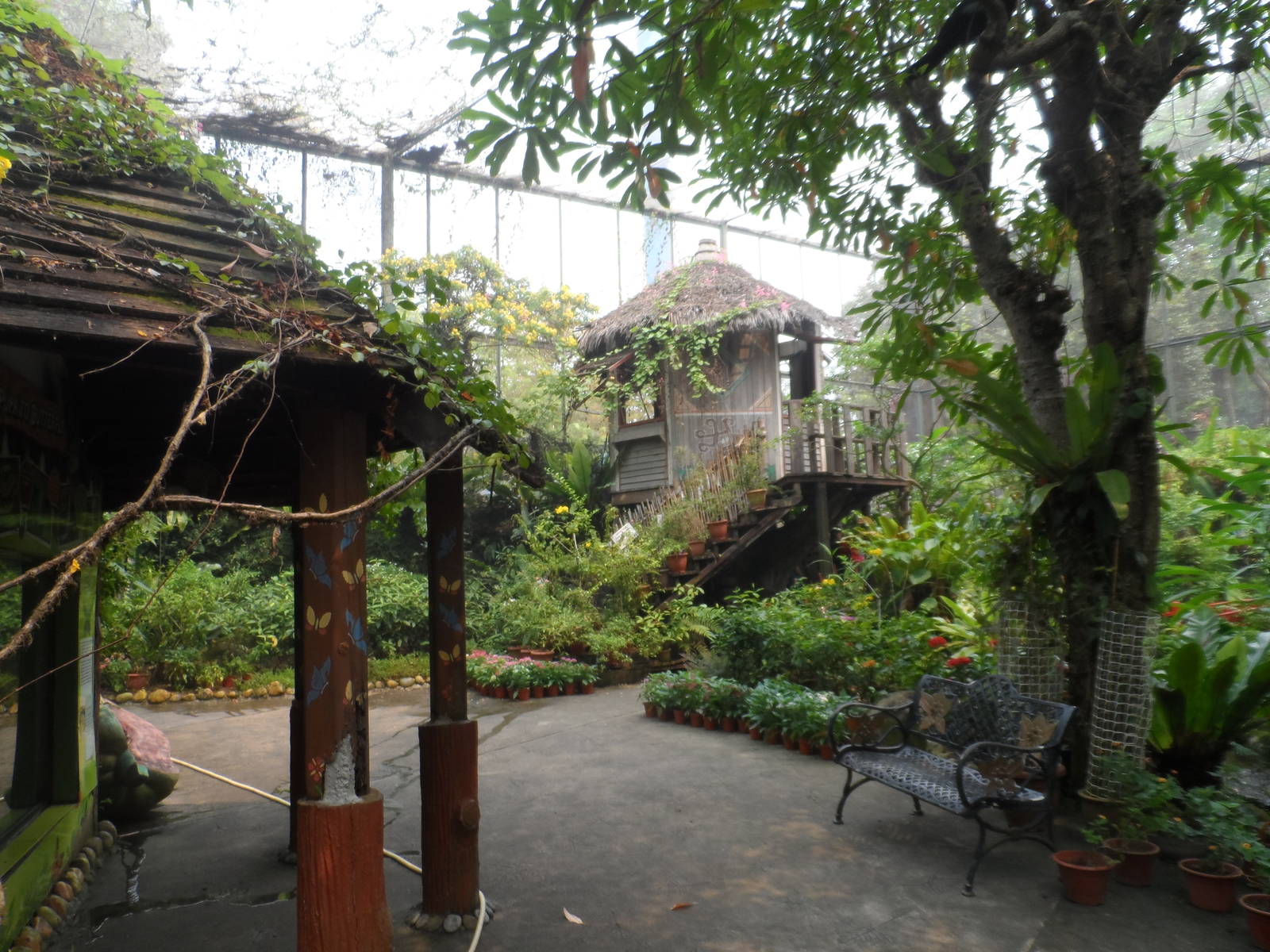 Butterfly Walk-through