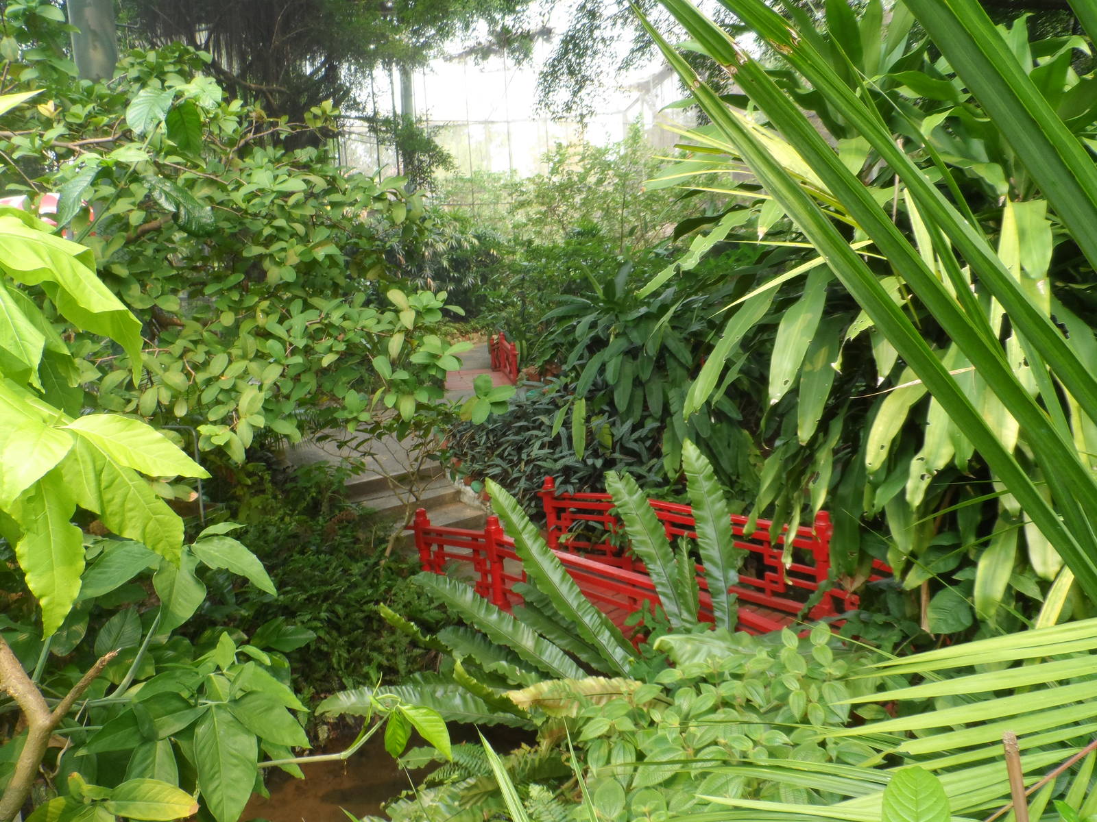 Butterfly Walk-through