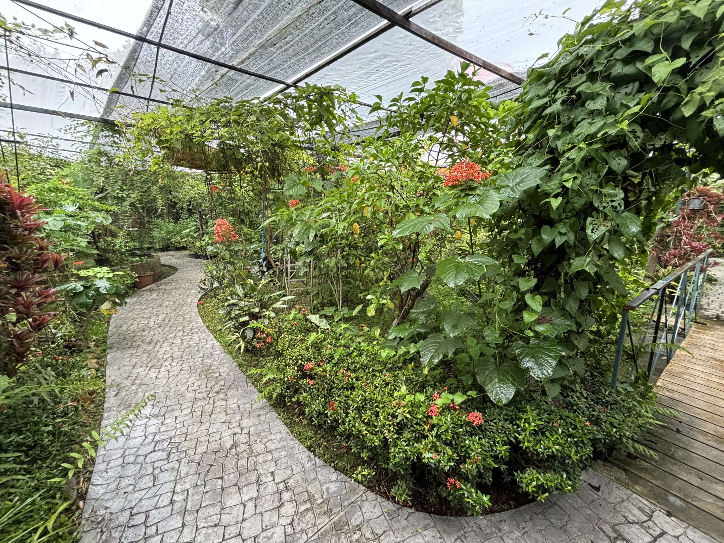 Butterfly Walk-through