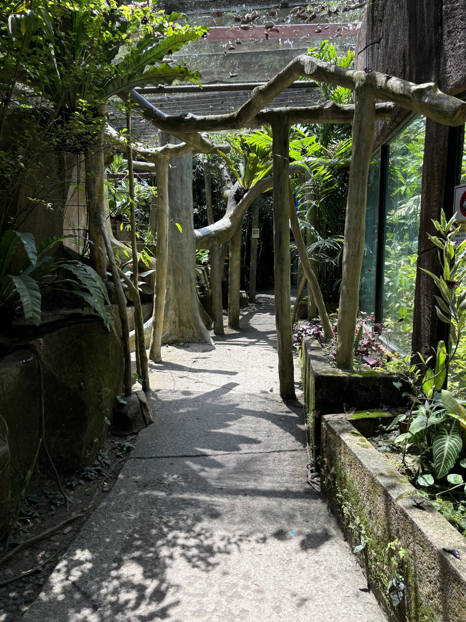 Butterfly Walk-through