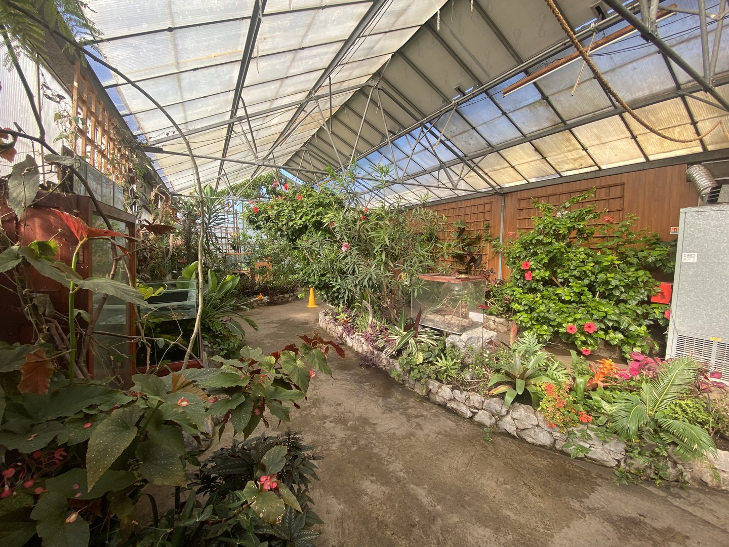 Butterfly Walkthrough 230922