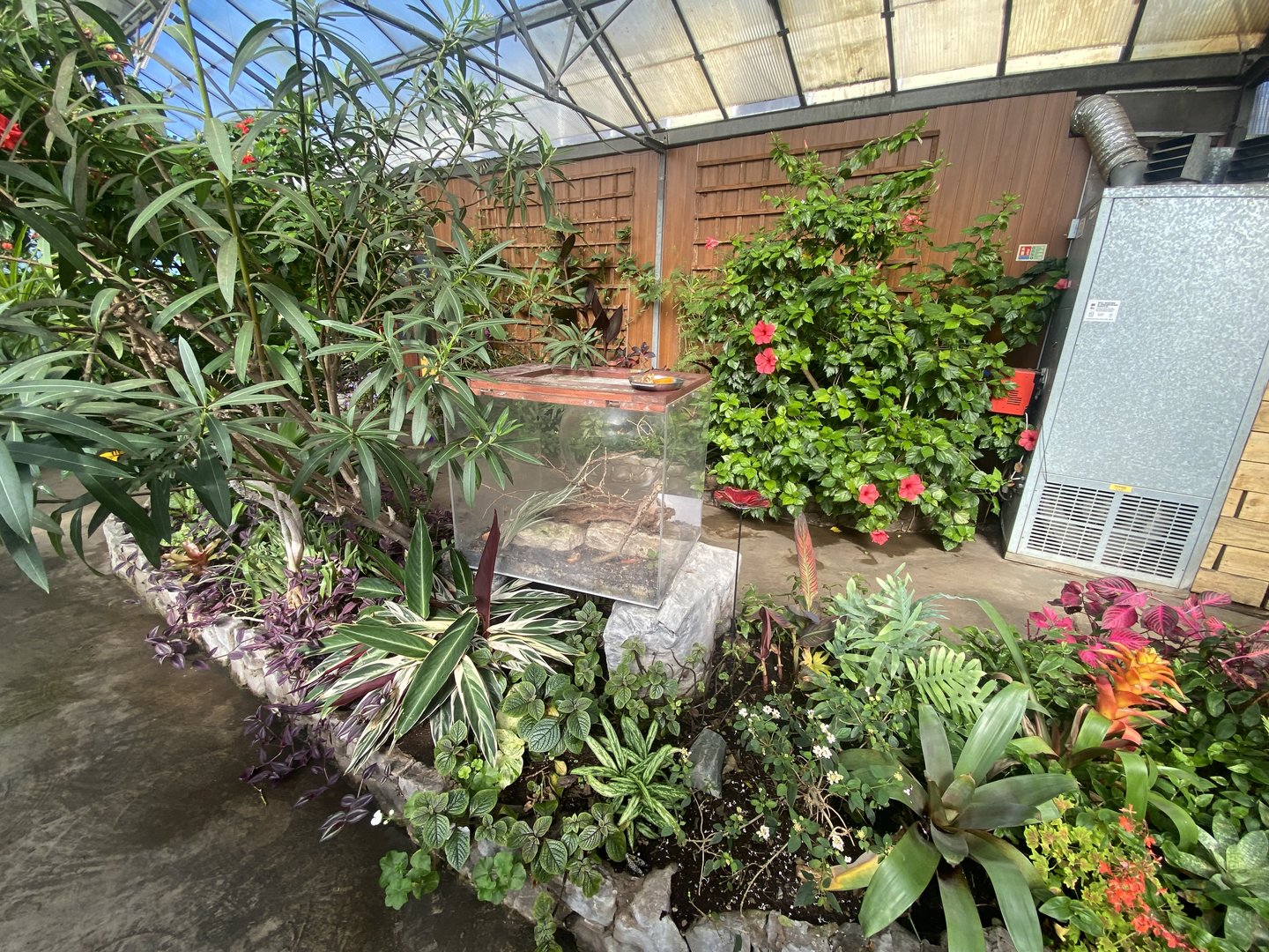 Butterfly Walkthrough 230922