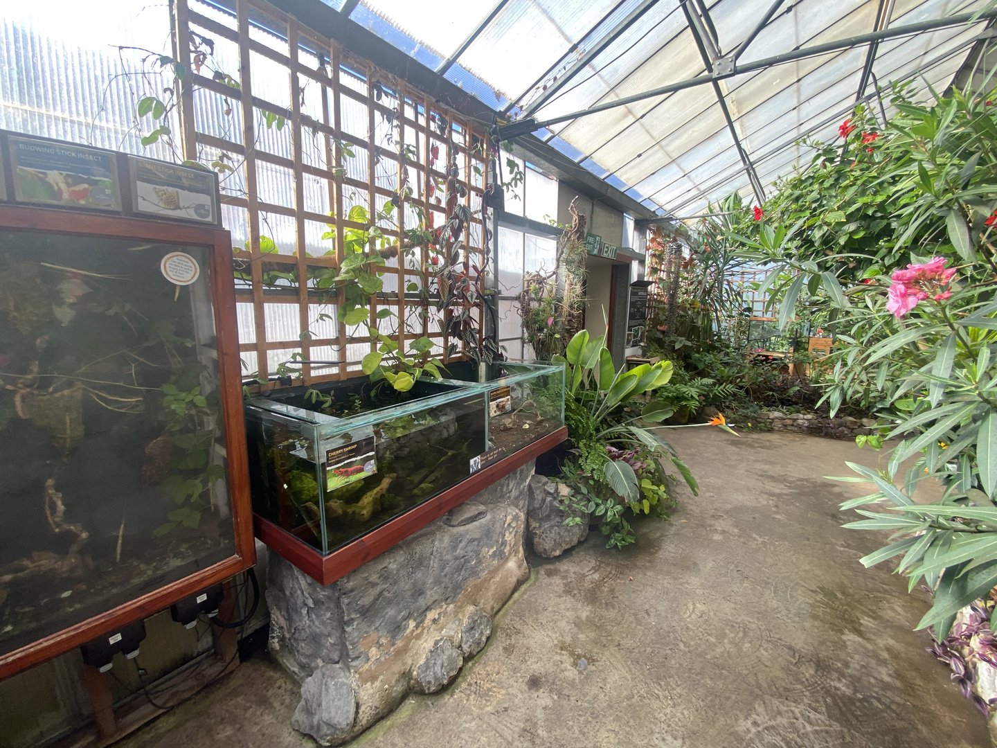 Butterfly Walkthrough 230922