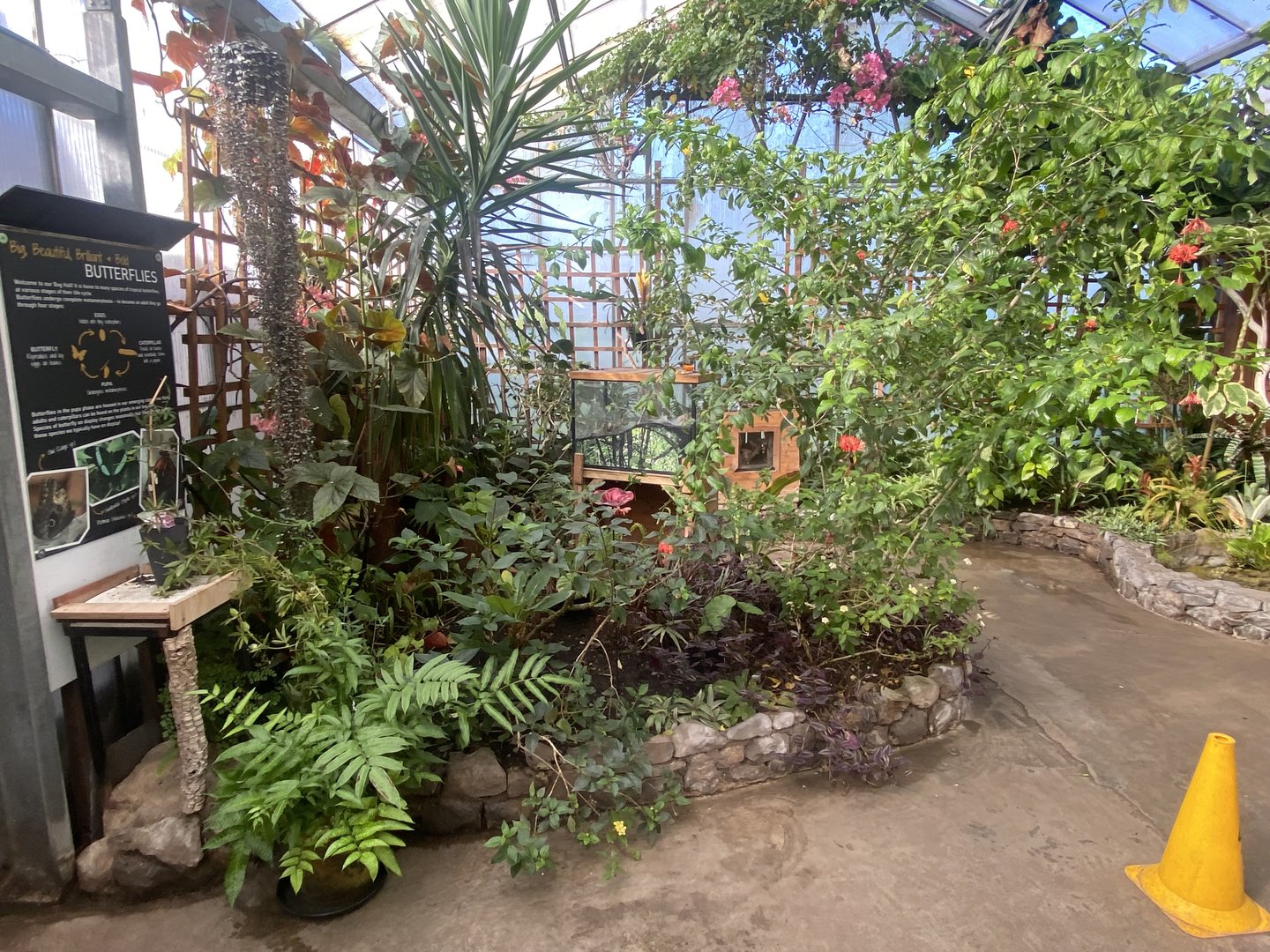 Butterfly Walkthrough 230922