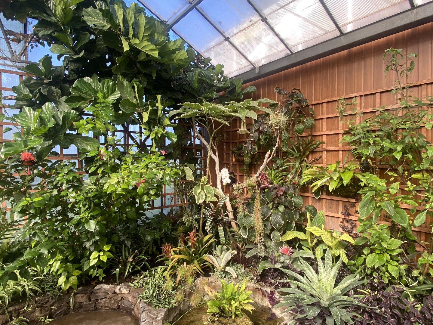 Butterfly Walkthrough 230922