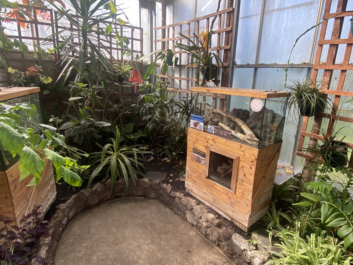 Butterfly Walkthrough 230922