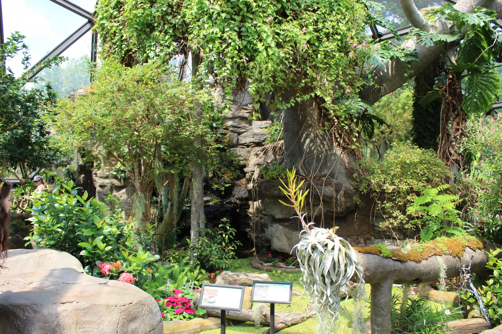 Butterfly Walkthrough - Bayer Insectarium