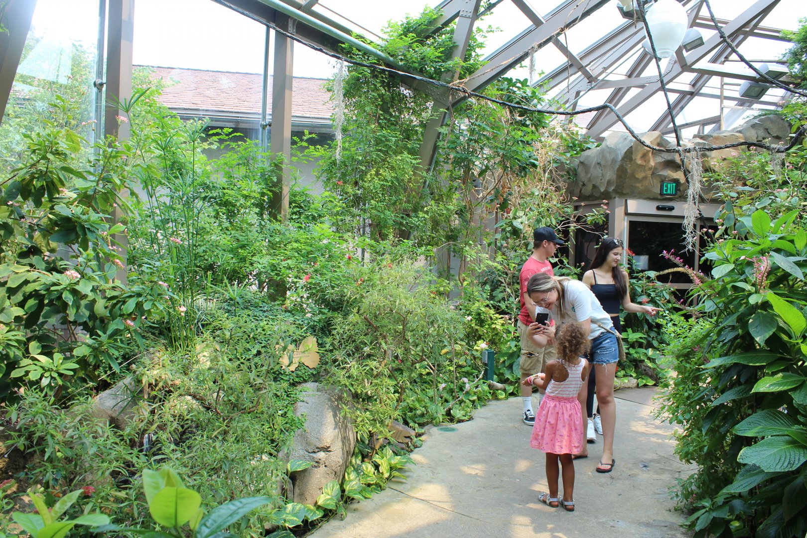 Butterfly Walkthrough - Butterfly & Insect Pavillion