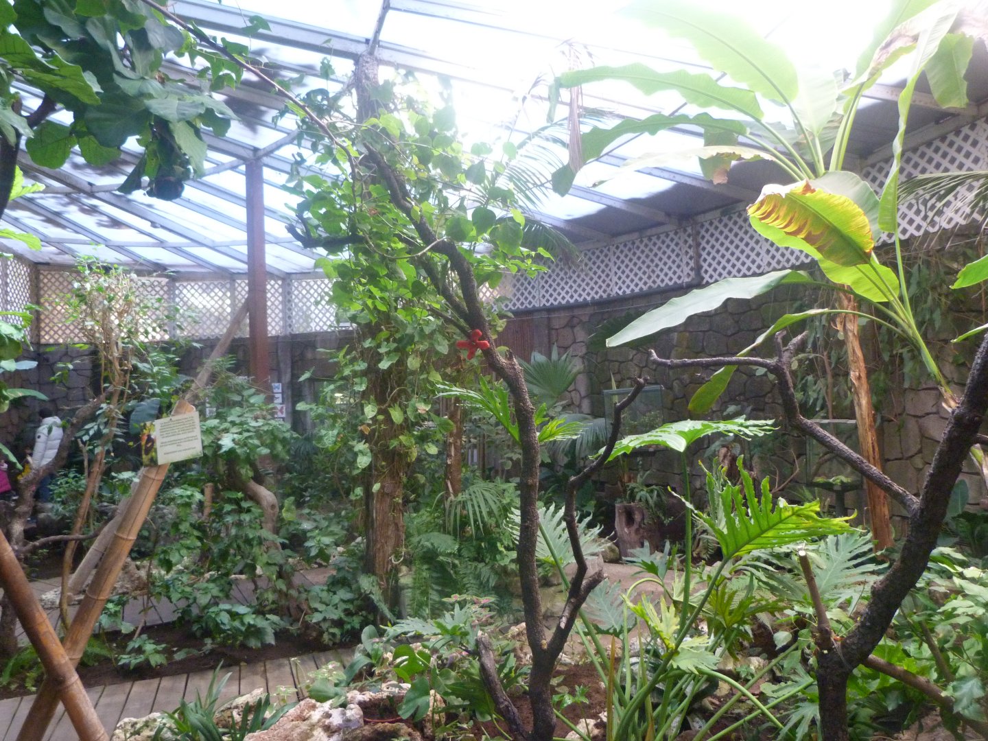 Butterfly walkthrough greenhouse in "Jardín del Edén" -Faunia (2025)