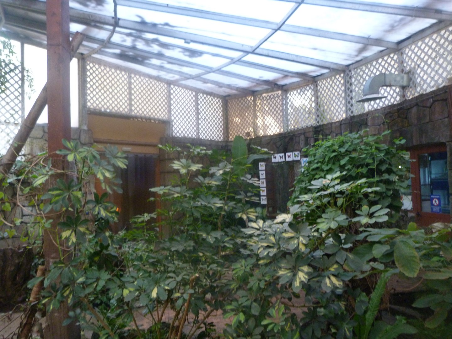 Butterfly walkthrough greenhouse in "Jardín del Edén" -Faunia (2025)