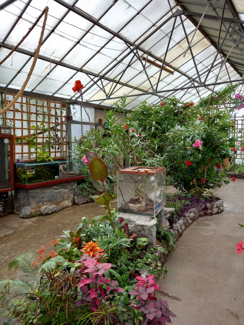 Butterfly Walkthrough