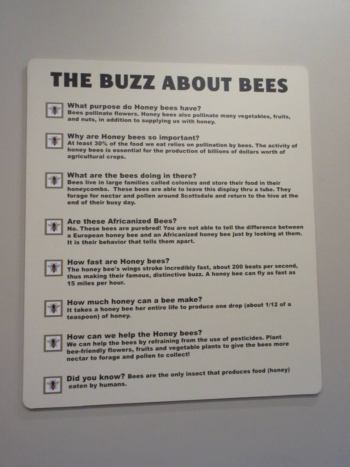 Butterfly Wonderland (Arizona) - Bee Sign