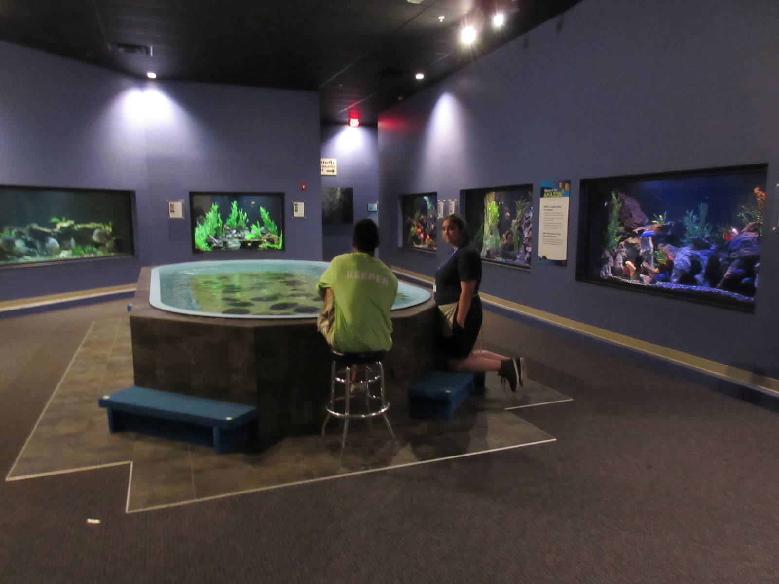 Butterfly Wonderland (Arizona) - Freshwater Tanks