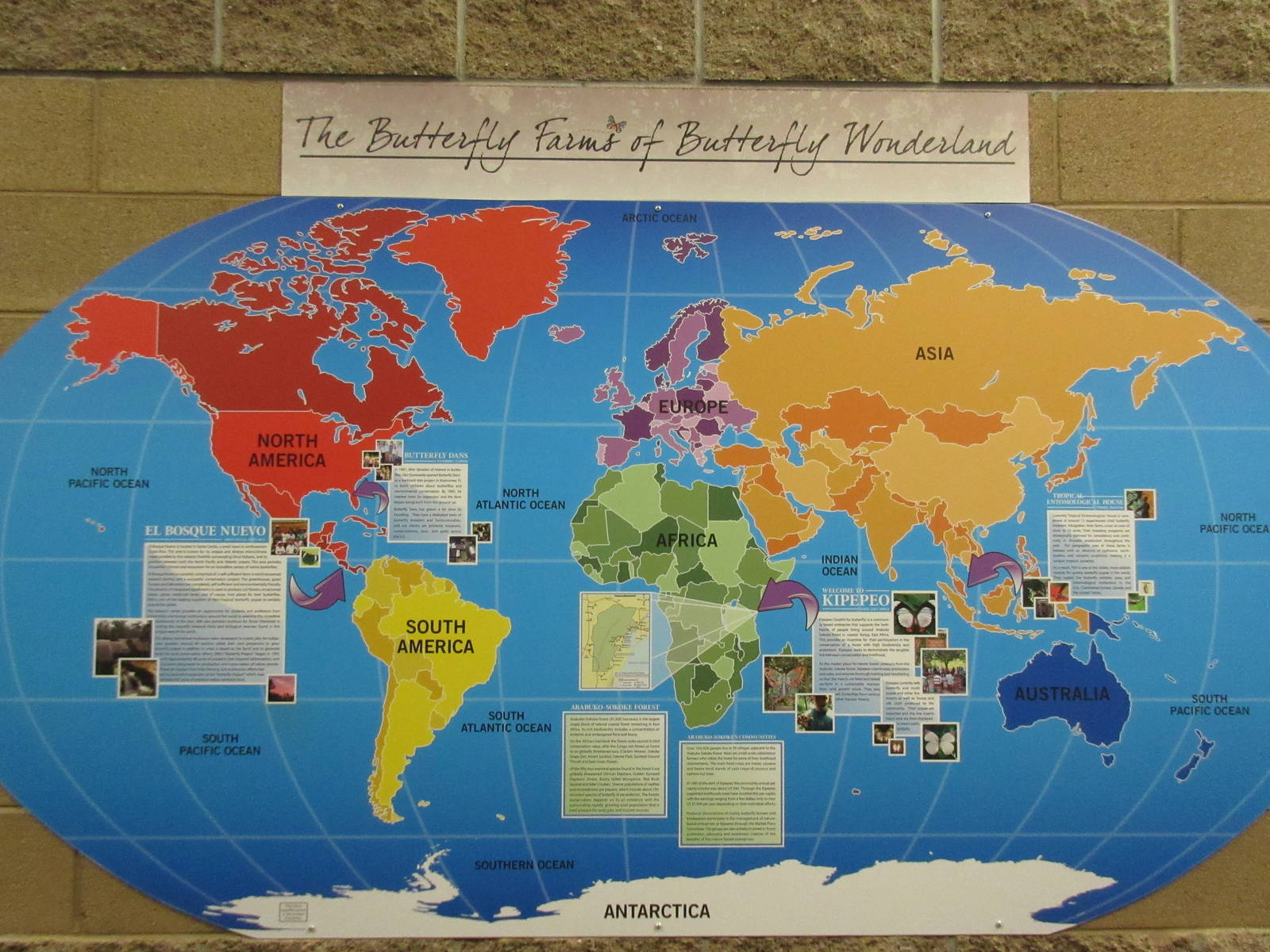 Butterfly Wonderland (Arizona) - Largest Indoor Butterfly Pavilion in the U