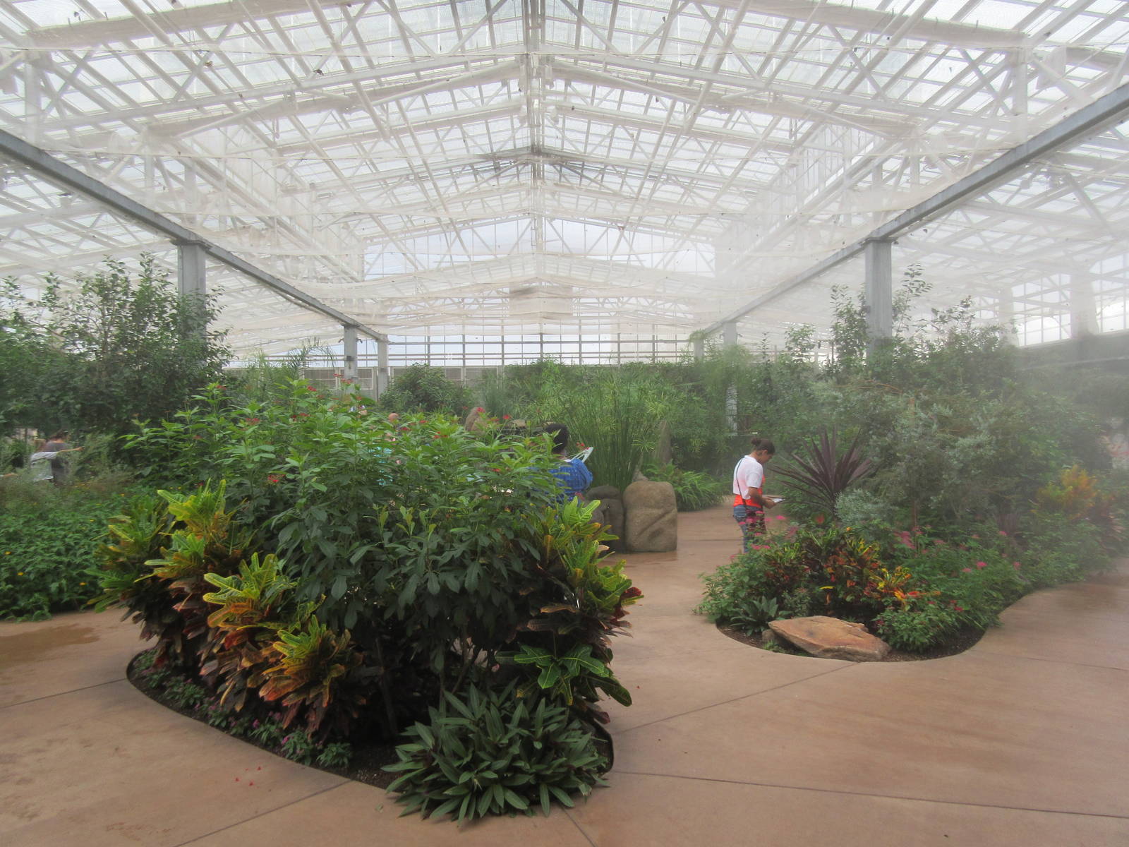 Butterfly Wonderland (Arizona) - Largest Indoor Butterfly Pavilion in the U