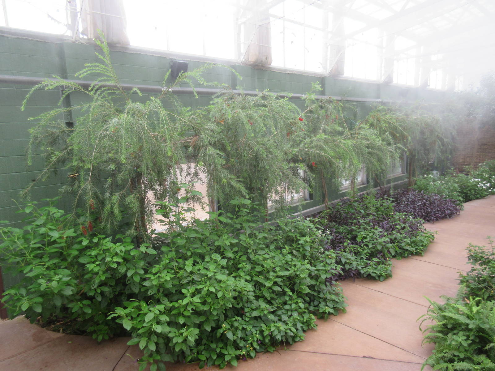 Butterfly Wonderland (Arizona) - Largest Indoor Butterfly Pavilion in the U