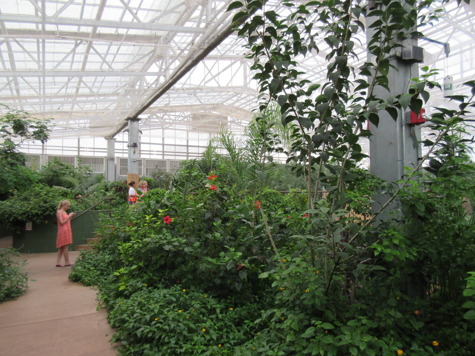 Butterfly Wonderland (Arizona) - Largest Indoor Butterfly Pavilion in the U