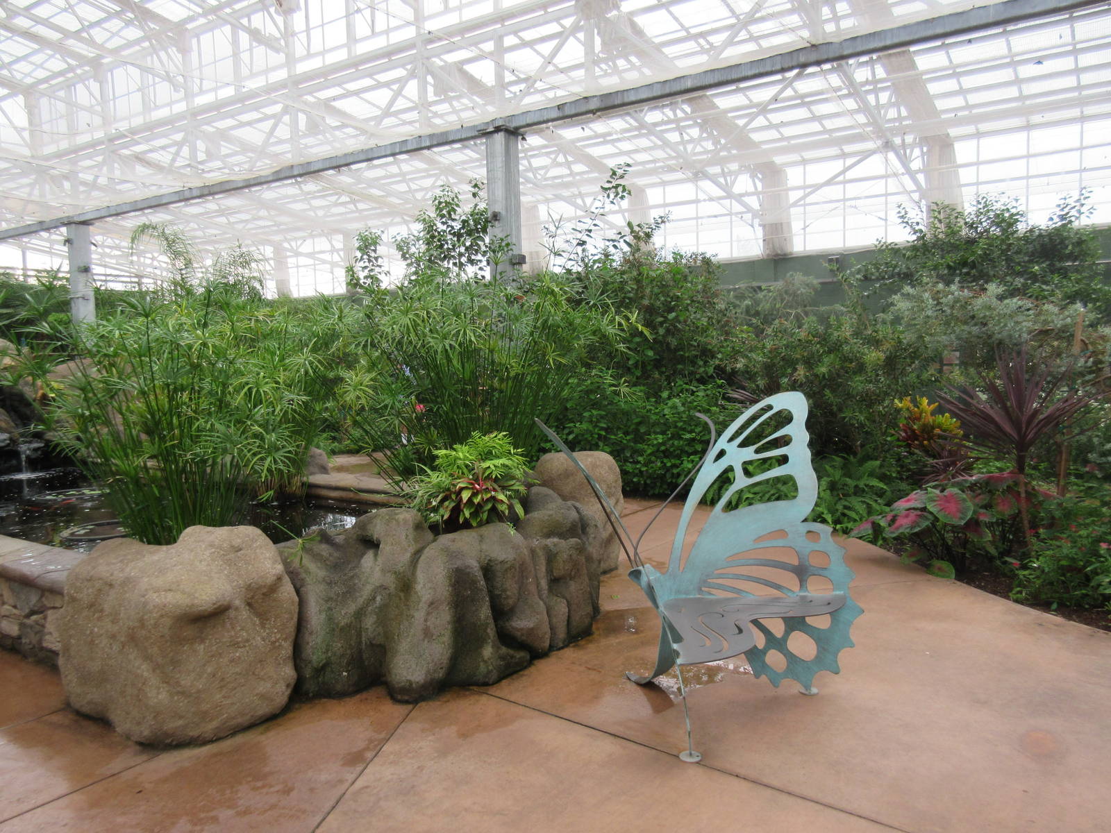 Butterfly Wonderland (Arizona) - Largest Indoor Butterfly Pavilion in the U