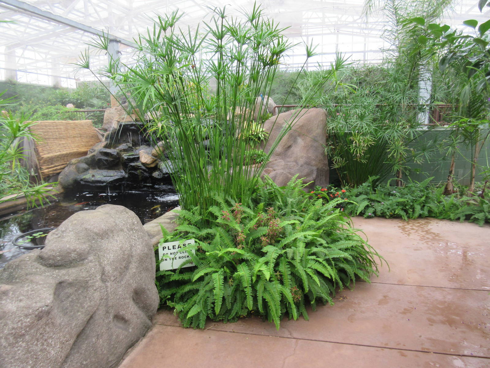 Butterfly Wonderland (Arizona) - Largest Indoor Butterfly Pavilion in the U