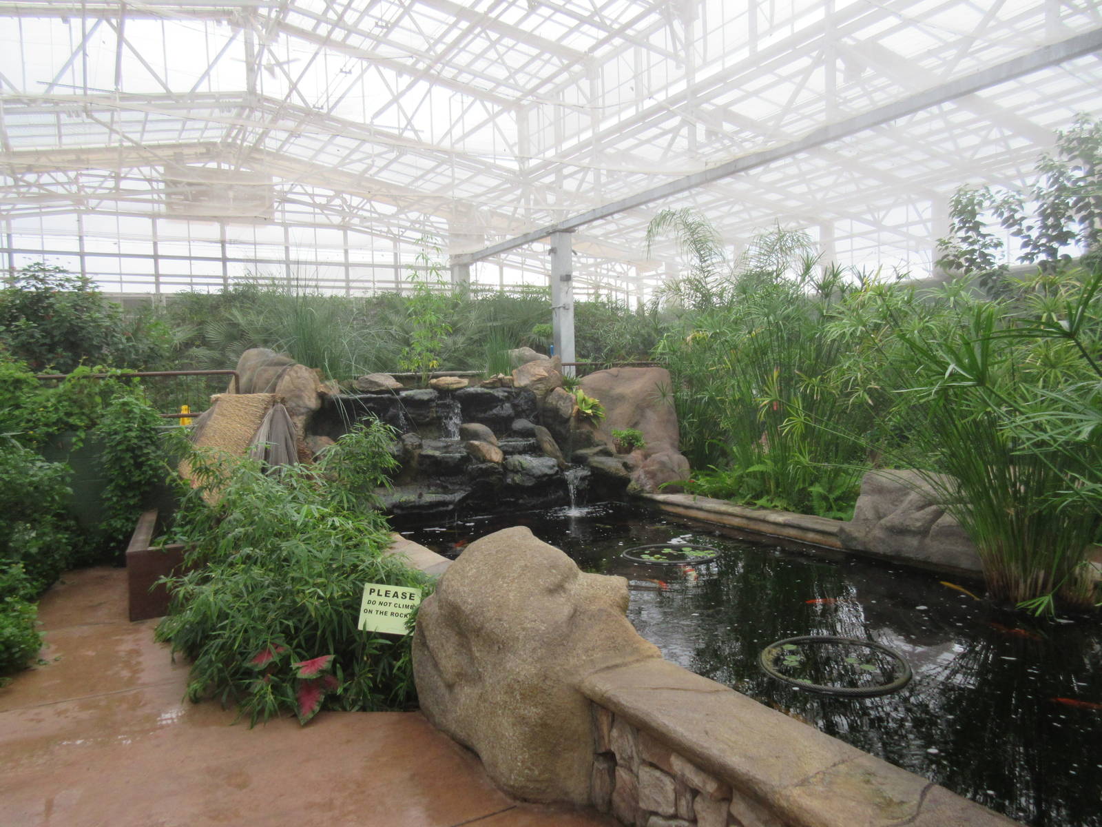 Butterfly Wonderland (Arizona) - Largest Indoor Butterfly Pavilion in the U