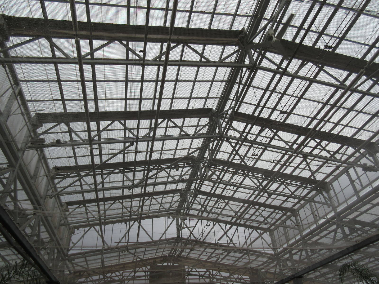 Butterfly Wonderland (Arizona) - Largest Indoor Butterfly Pavilion in the U