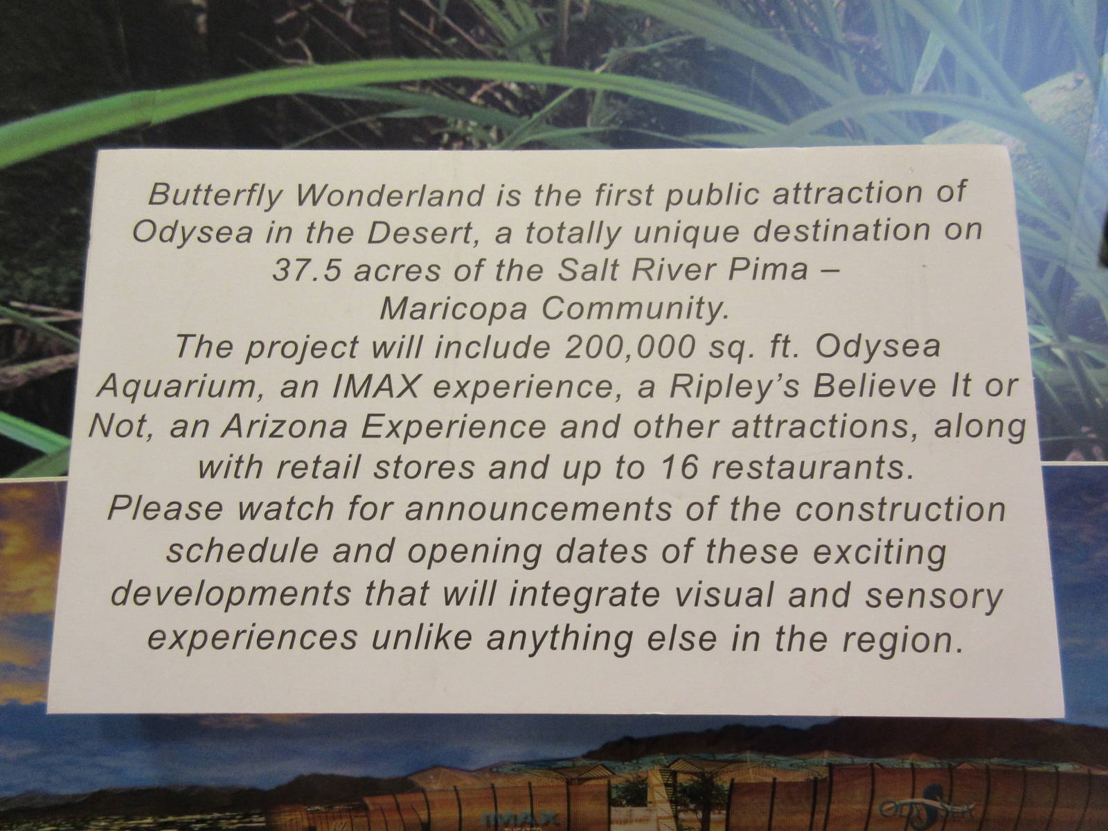 Butterfly Wonderland (Arizona)