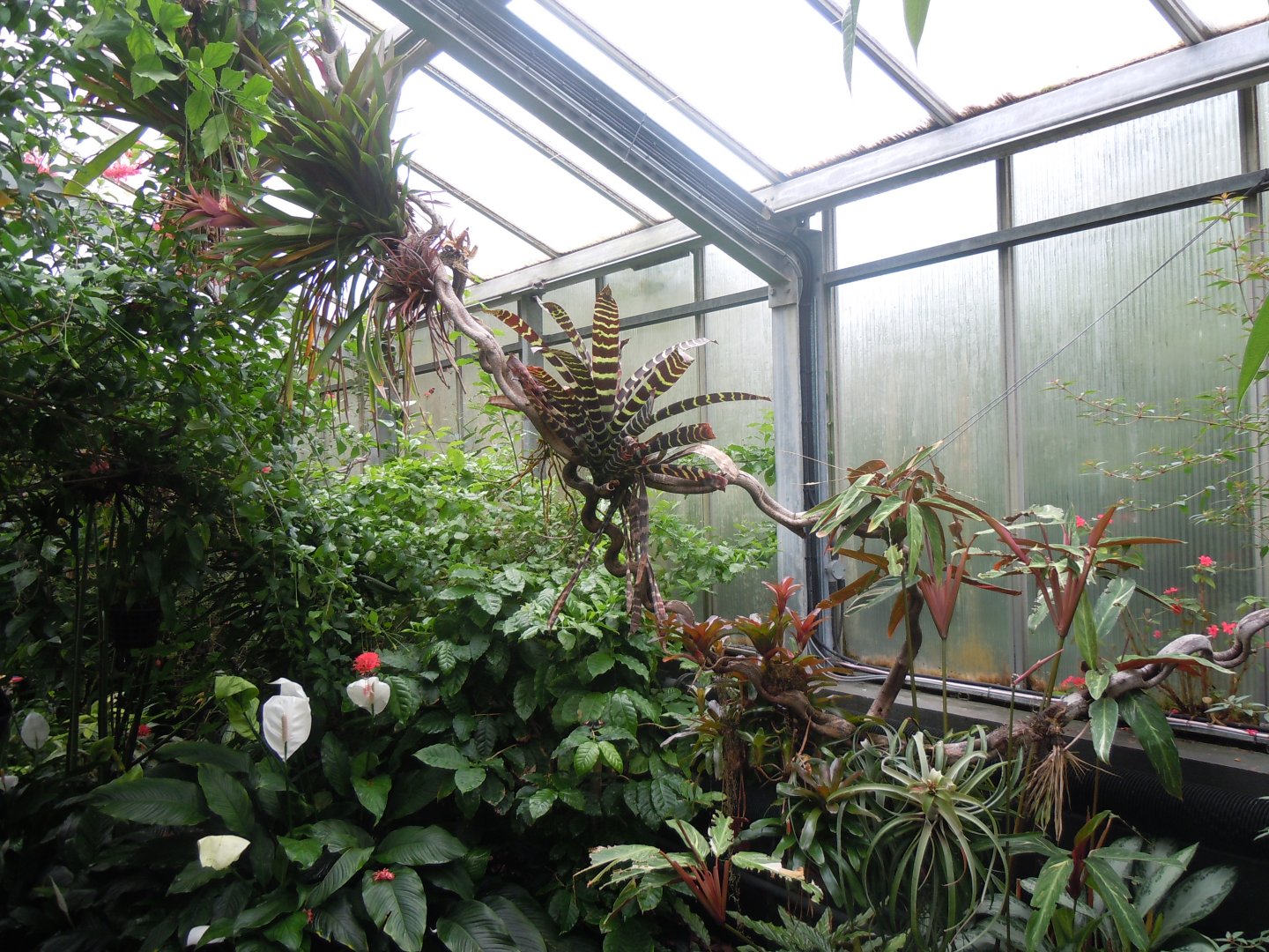 Butterfly World 110920